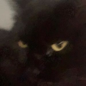 Meet your Posher, Alexandra